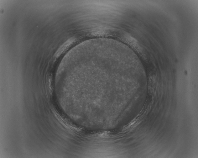 X0000067890116200605111901