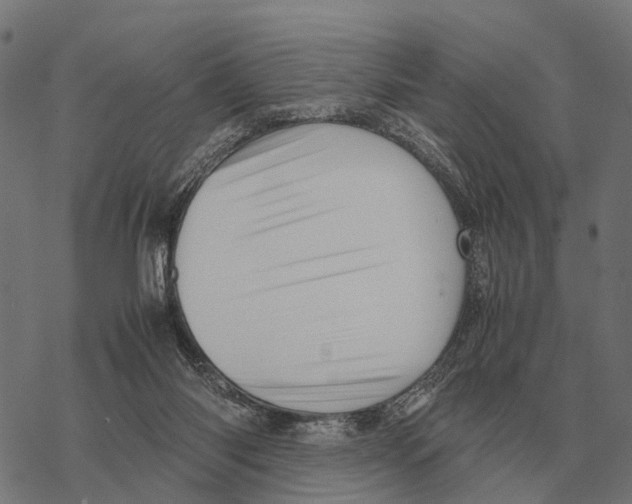 X0000067890118200605111901