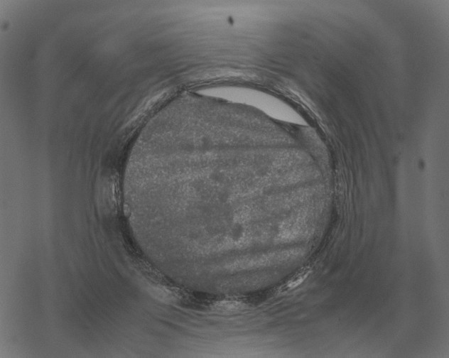 X0000067890119200605111901