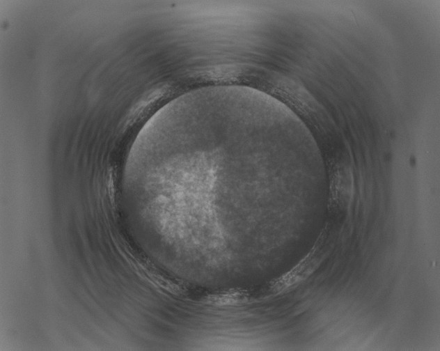 X0000067890120200605111901