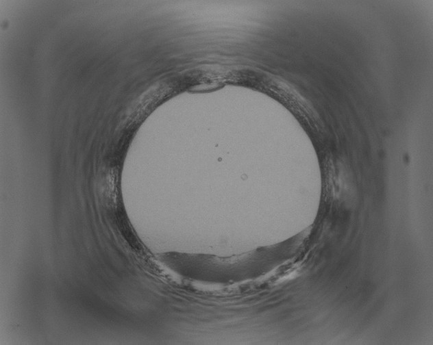 X0000067890121200605111901