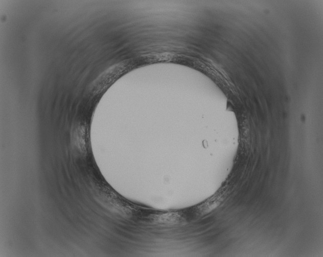 X0000067890122200605111901