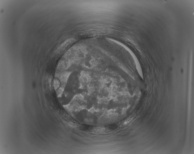 X0000067890123200605111901