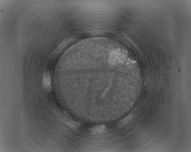 X0000067890124200605111901