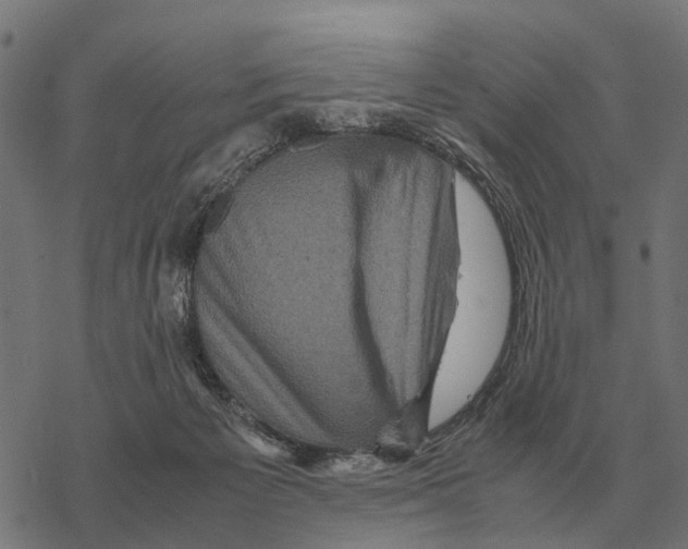 X0000067890125200605111901