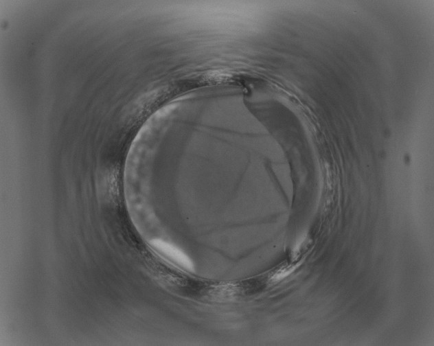 X0000067890127200605111901