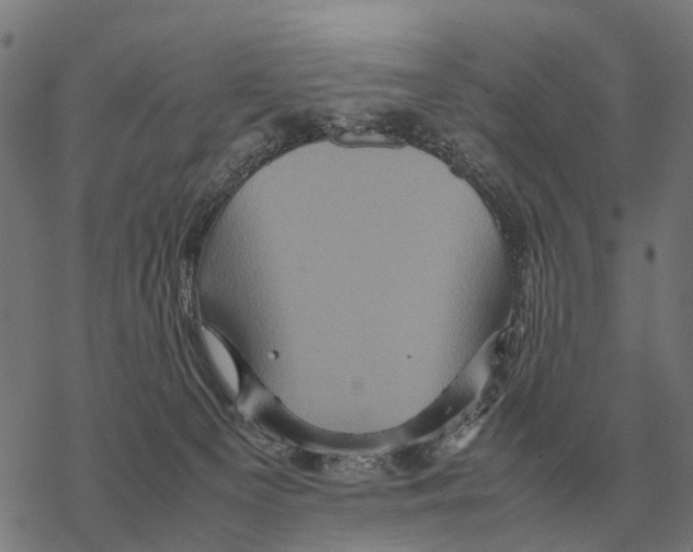 X0000067890129200605111900