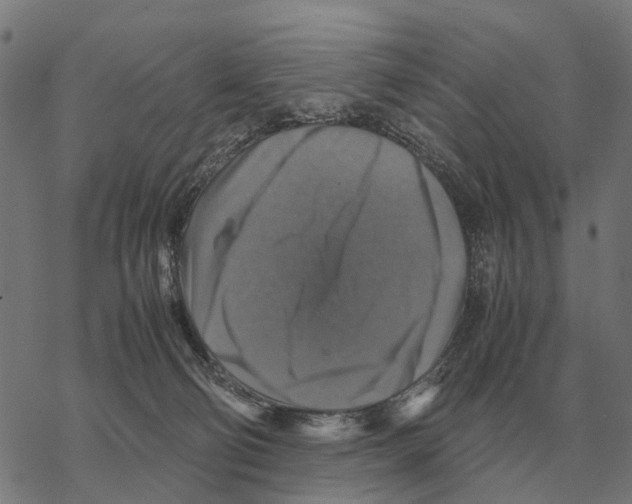 X0000067890130200605111900