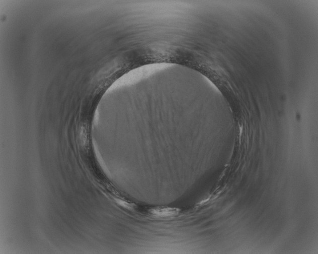 X0000067890131200605111900