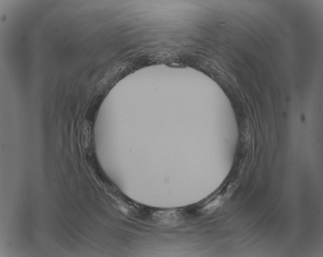 X0000067890133200605111900