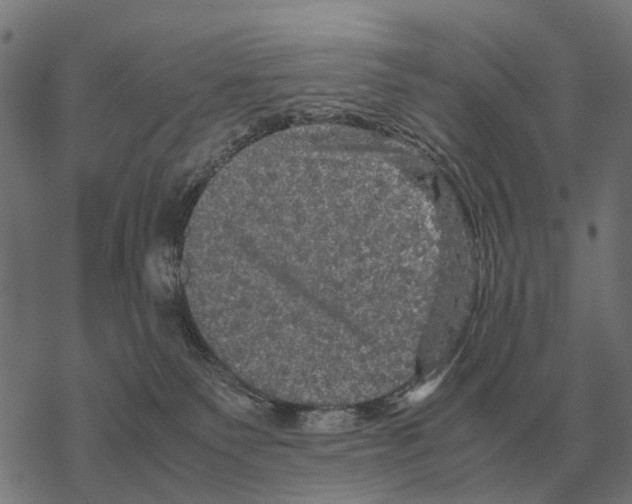 X0000067890135200605111900