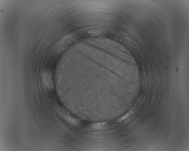 X0000067890136200605111900