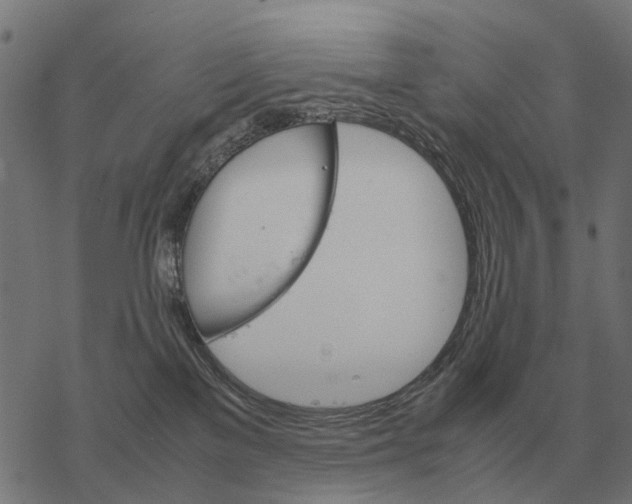 X0000067890137200605111900