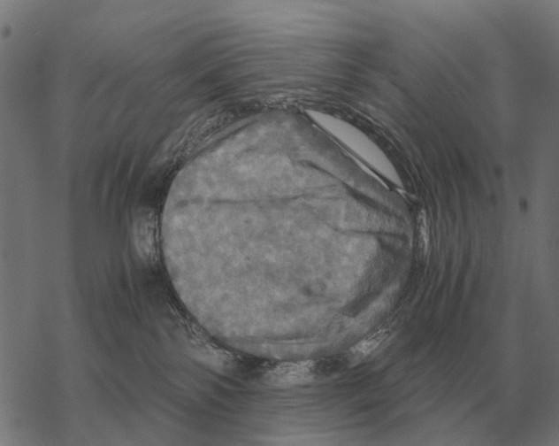 X0000067890138200605111900