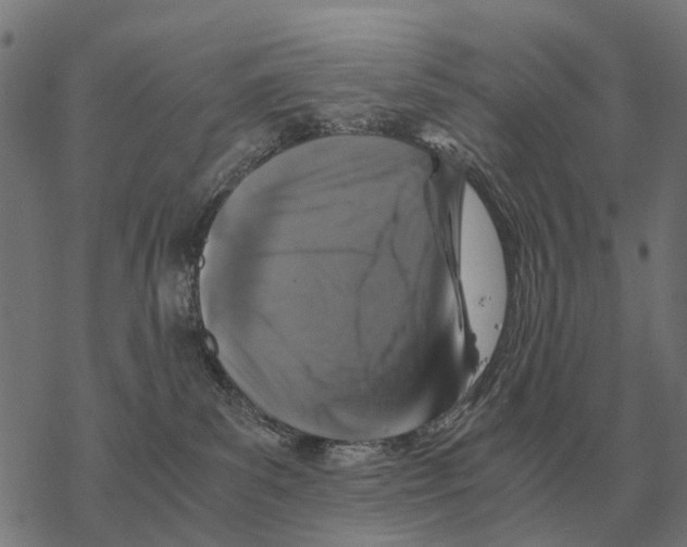 X0000067890139200605111900