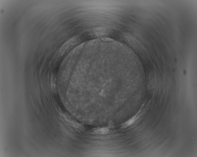 X0000067890140200605111900