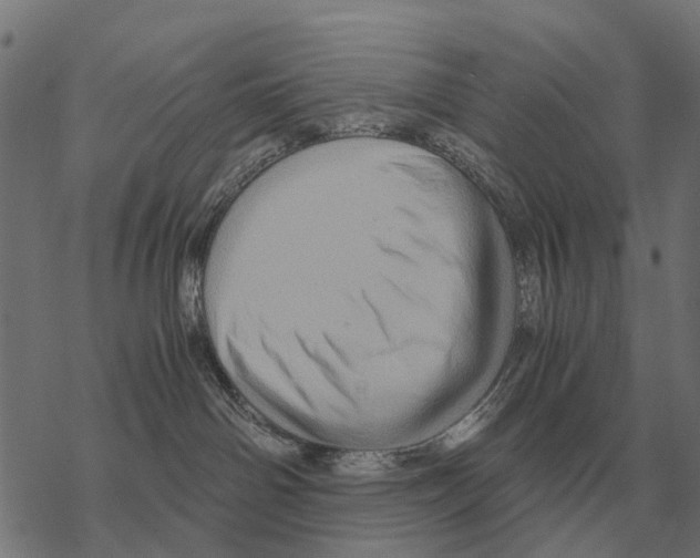 X0000067890142200605111900