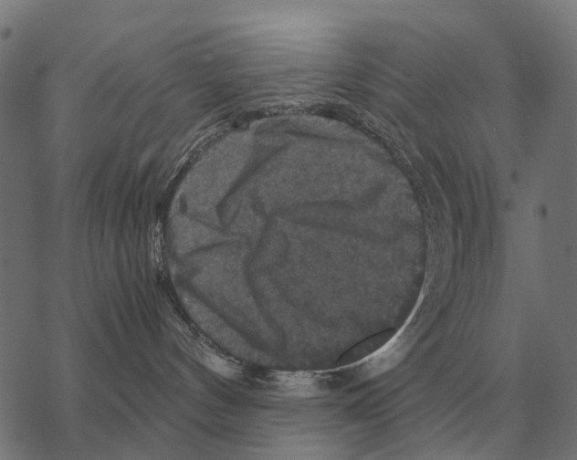 X0000067890144200605111900