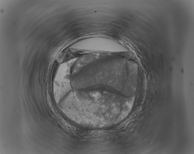 X0000067890145200605111859