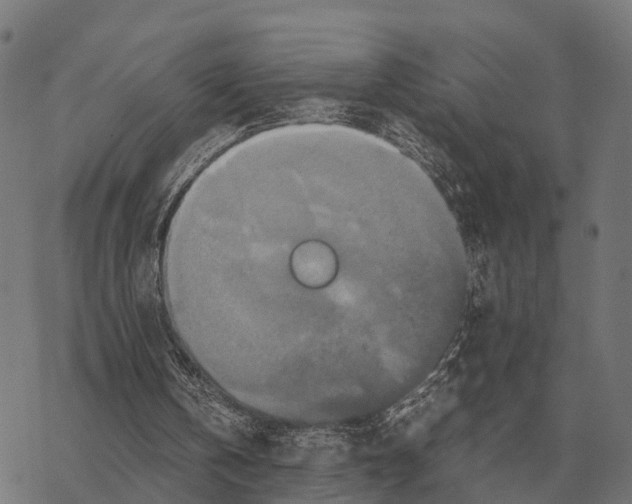 X0000067890146200605111859