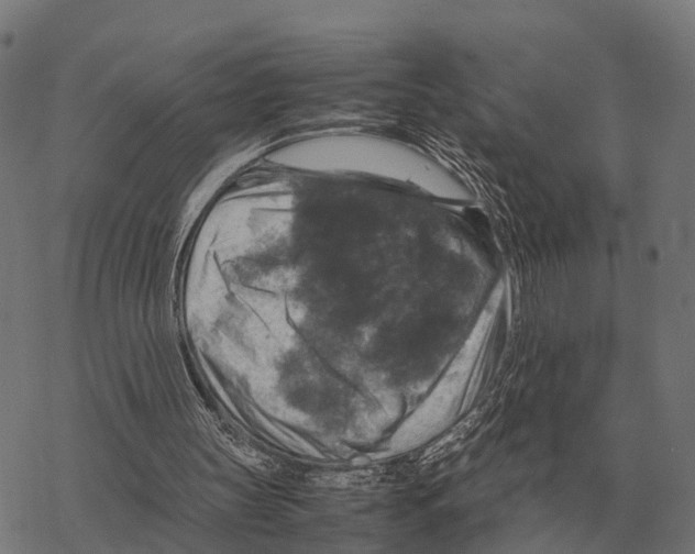 X0000067890147200605111859