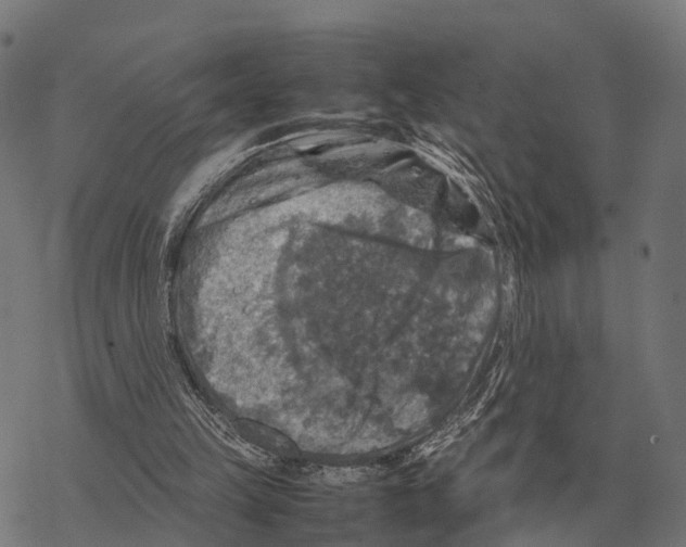 X0000067890149200605111900