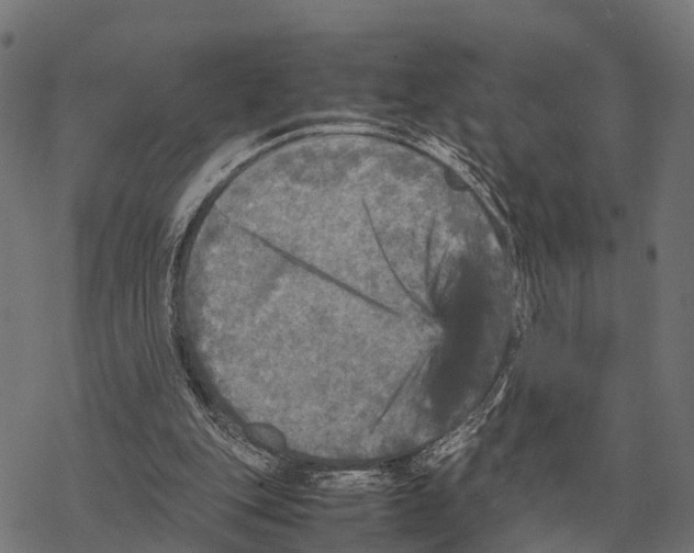 X0000067890151200605111900