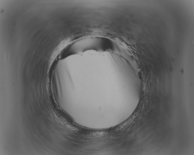 X0000067890152200605111900