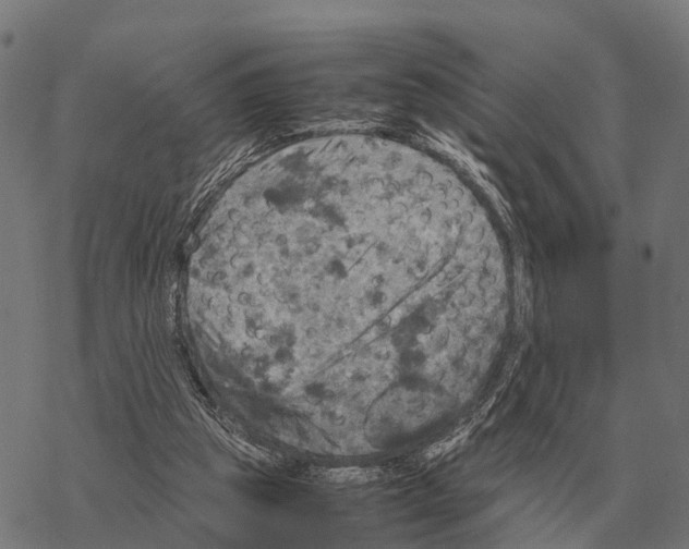 X0000067890153200605111900