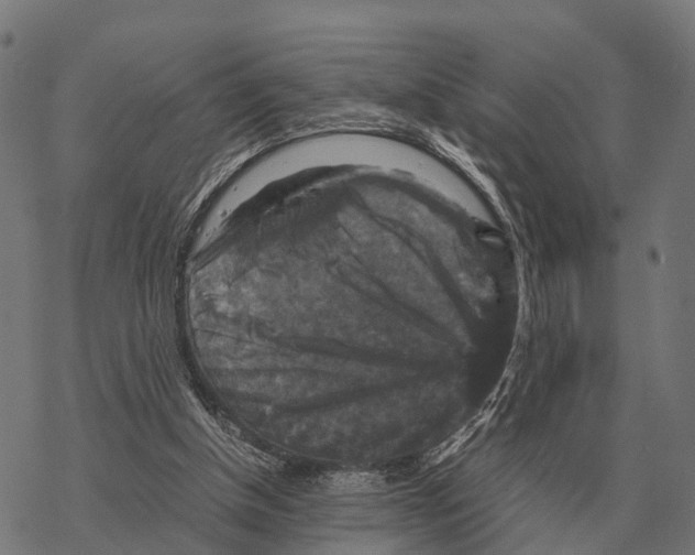 X0000067890154200605111900