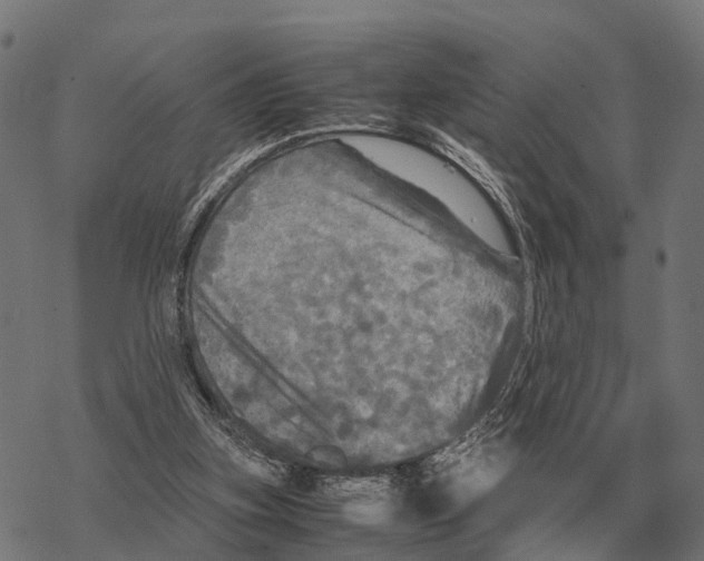 X0000067890155200605111900