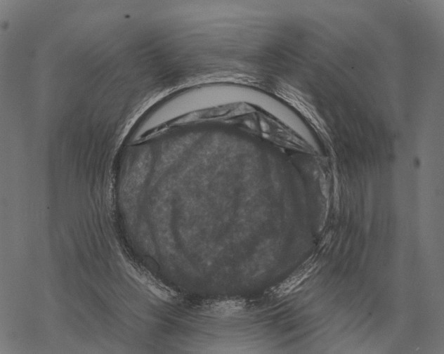 X0000067890156200605111900