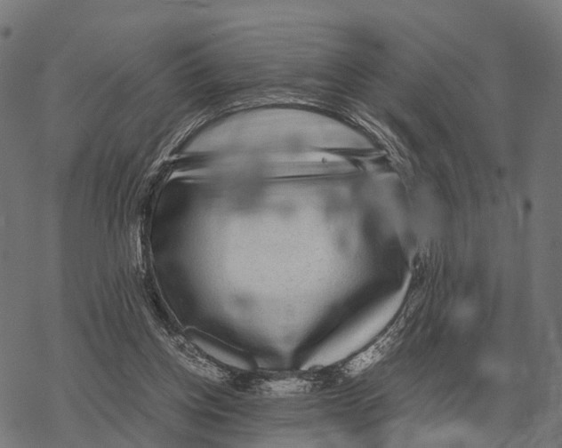 X0000067890158200605111900