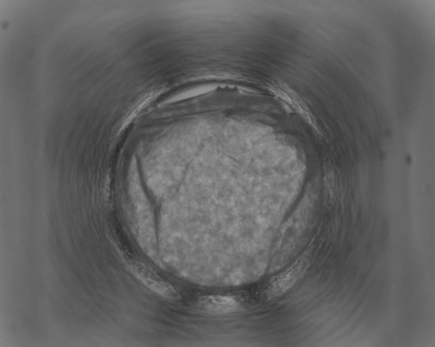 X0000067890159200605111900