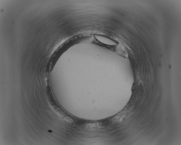 X0000067890160200605111900