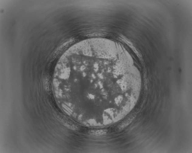 X0000067890161200605111900