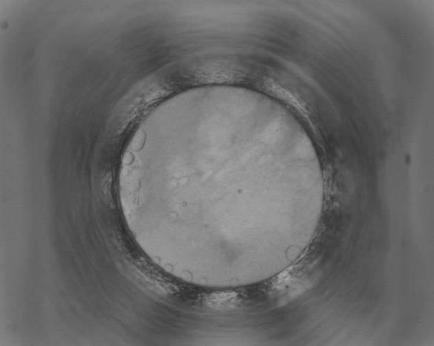 X0000067890162200605111900