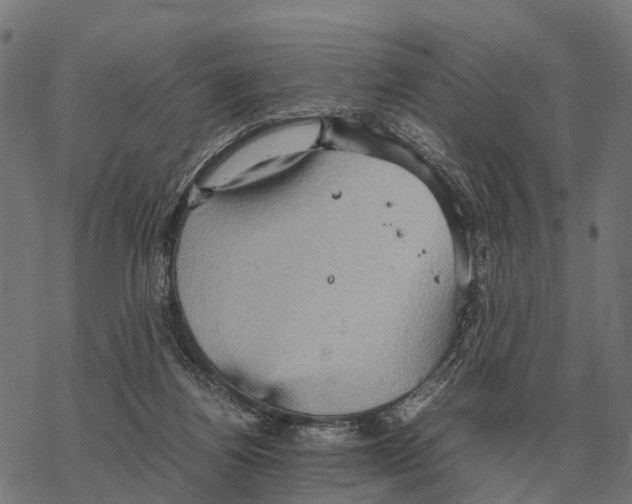 X0000067890164200605111900