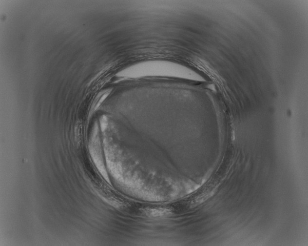 X0000067890165200605111900