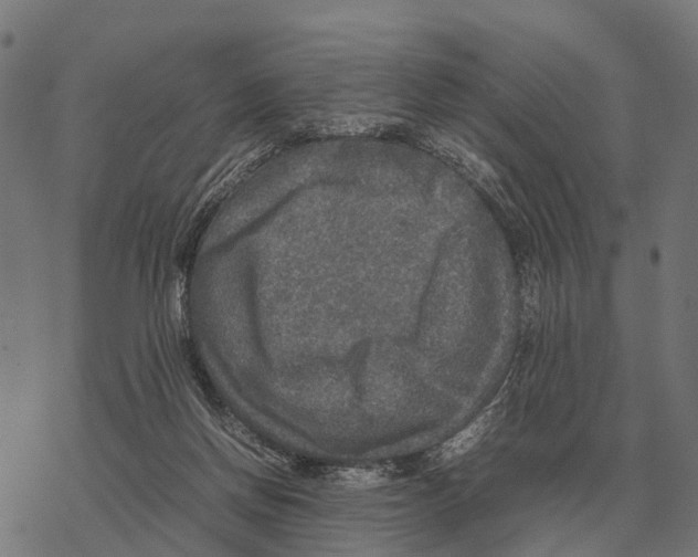 X0000067890166200605111900