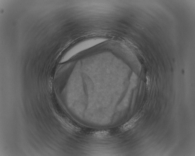 X0000067890168200605111900