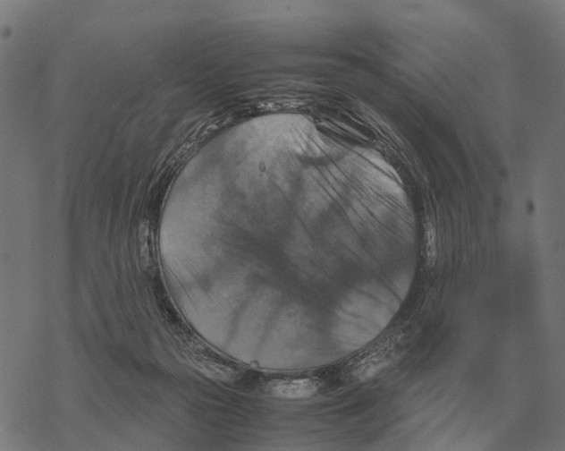 X0000067890169200605111900