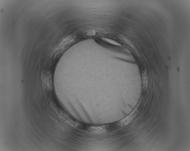 X0000067890170200605111900