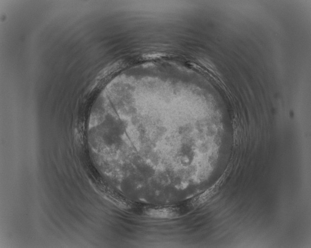 X0000067890171200605111900