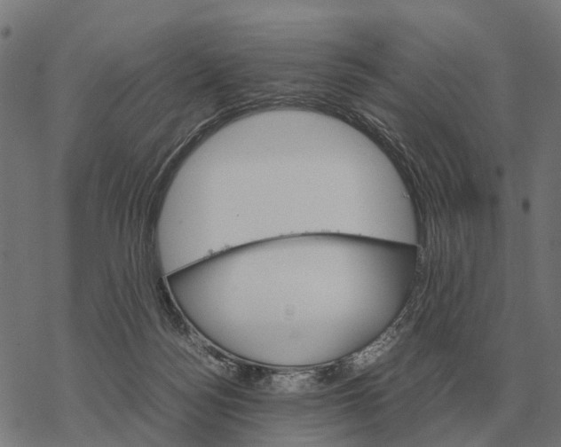 X0000067890172200605111900