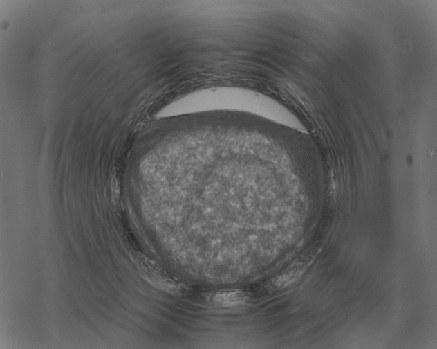 X0000067890173200605111900