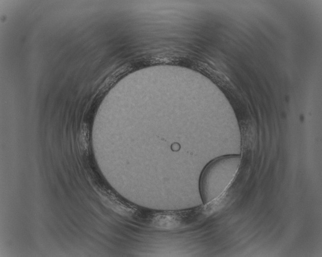 X0000067890174200605111900