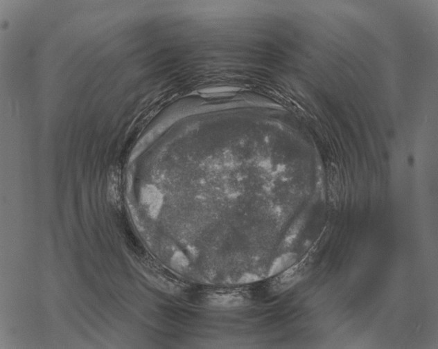 X0000067890175200605111900