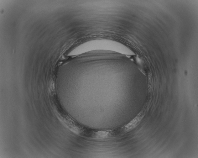 X0000067890176200605111900