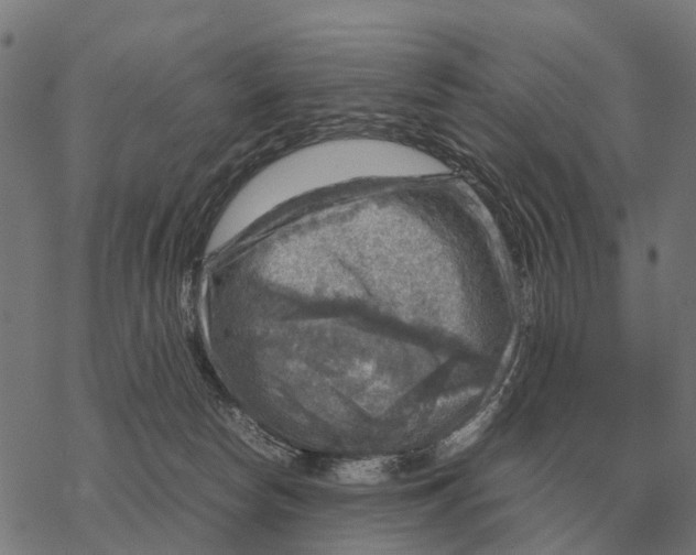 X0000067890178200605111900